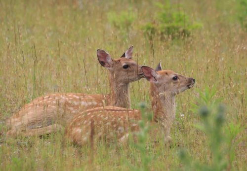 [Latest Update] Reservations Are Now Open for Our 2026 Green Season Tours (Spring, Summer & Autumn)!