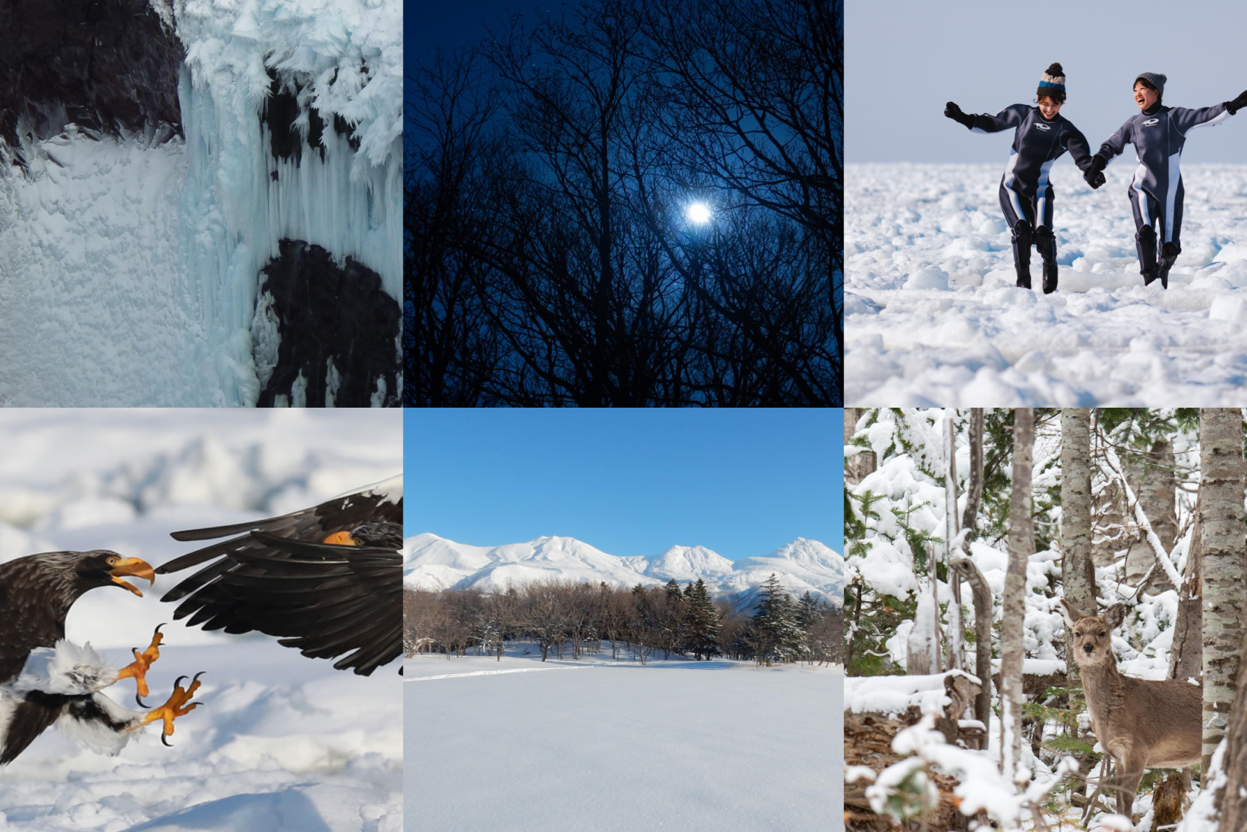 shiretoko-winter-combination-tours