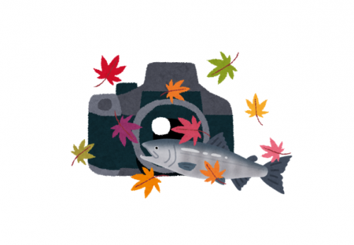 【Seasonal Cam in Shiretoko ~Autumn~】紅葉編