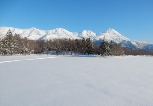 【ツアー情報】2021年度 厳冬期・知床五湖スノーシューツアーの日程が決定しました！