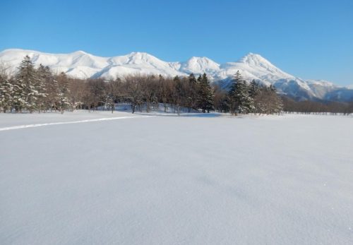 【最新情報】2026年厳冬期知床五湖ツアーのご予約開始しました！